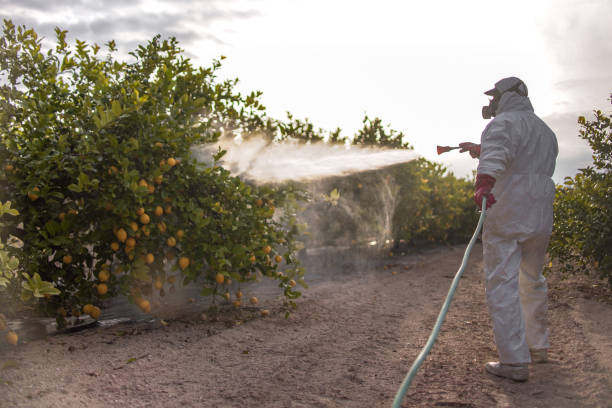 Best Residential Pest Control  in Silver Firs, WA